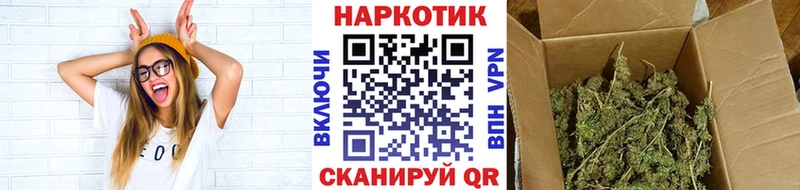 Как найти закладки Новосиль Лсд 25  МЕФ  Галлюциногенные грибы  ГАШИШ  АМФЕТАМИН  Alpha PVP 