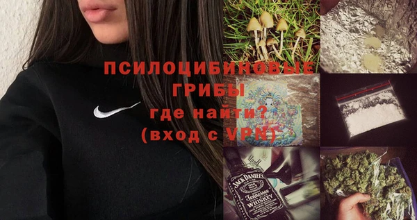 стаф Бугульма