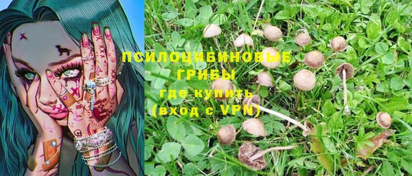 хмурый Бронницы
