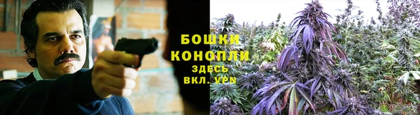хмурый Бронницы