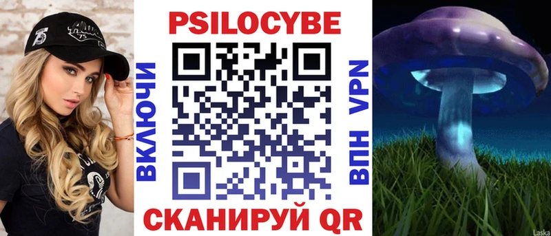 закладки  это официальный сайт  Псилоцибиновые грибы Psilocybe  Новосиль 
